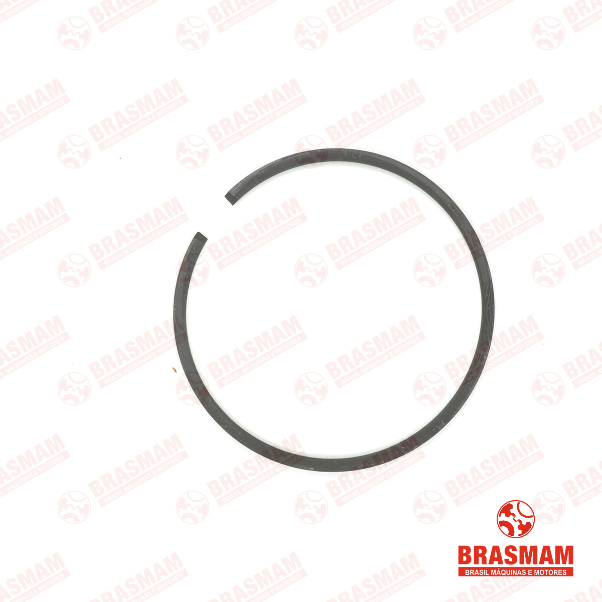 ANEL SEGMENTO MS 52 IMPORT